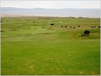 golf course 3.jpg
